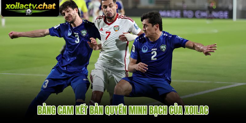 Cam kết bản quyền minh bạch qua từng điểm kiểm chứng hằng ngày