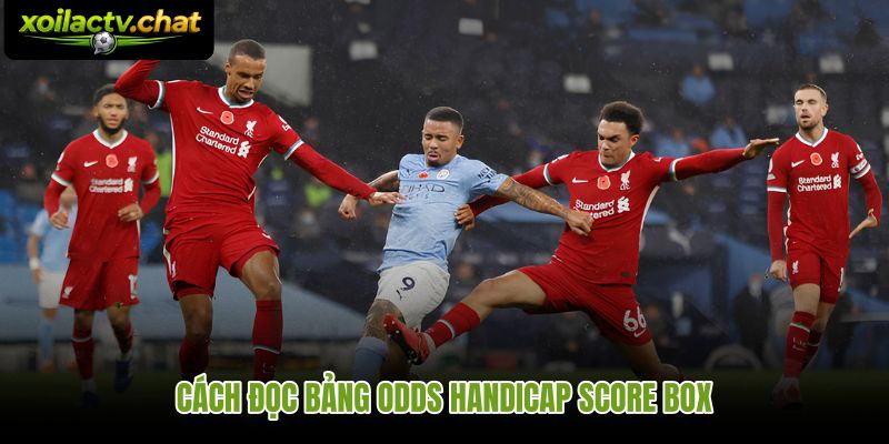 Thứ tự đọc bảng kèo chấp score box là gì theo từng dòng odds