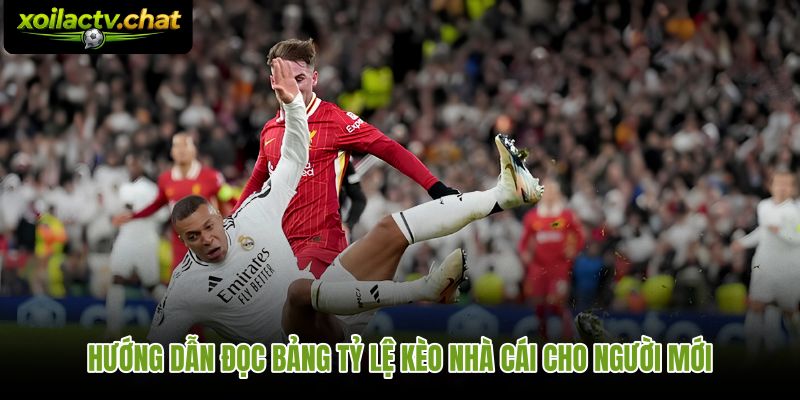 Cách đọc tỷ lệ kèo từ bảng số thành trình tự quan sát rõ ràng