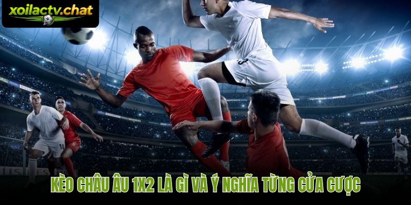 Cách đọc kèo bóng đá châu Âu với ba cửa 1X2 và xác suất ngầm