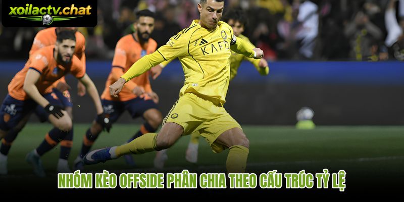 Cấu trúc tỷ lệ kèo việt vị là gì theo mốc tài xỉu và chấp