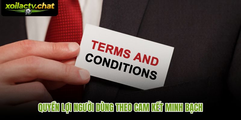 Quyền lợi người dùng trong điều khoản sử dụng gắn liền cam kết bảo vệ dữ liệu